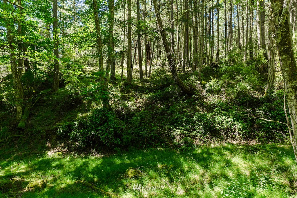 0 Guthrie Cove Road Orcas Island, WA 98280 - Photo 22 of 25 Gallery Image 22