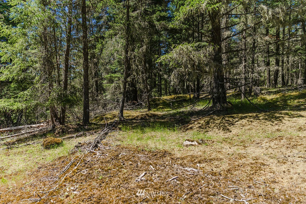 0 Guthrie Cove Road Orcas Island, WA 98280 - Photo 8 of 25 Gallery Image 8