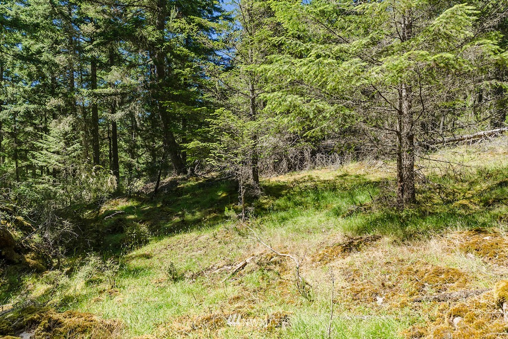 0 Guthrie Cove Road Orcas Island, WA 98280 - Photo 9 of 25 Gallery Image 9