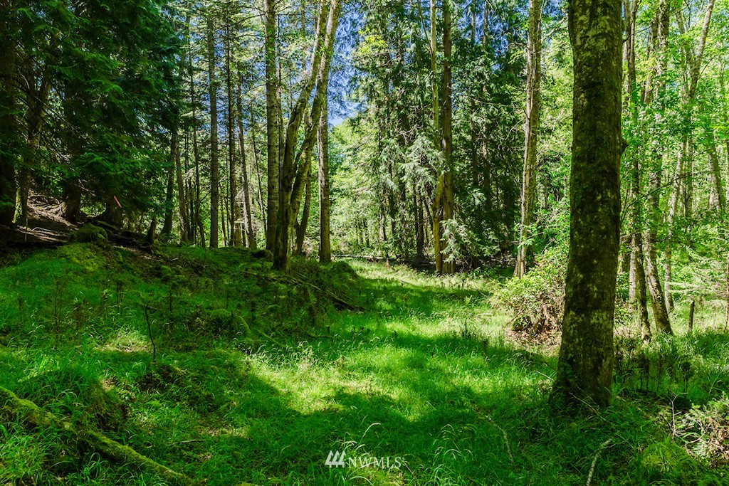 0 Guthrie Cove Road Orcas Island, WA 98280 - Photo 10 of 25 Gallery Image 10