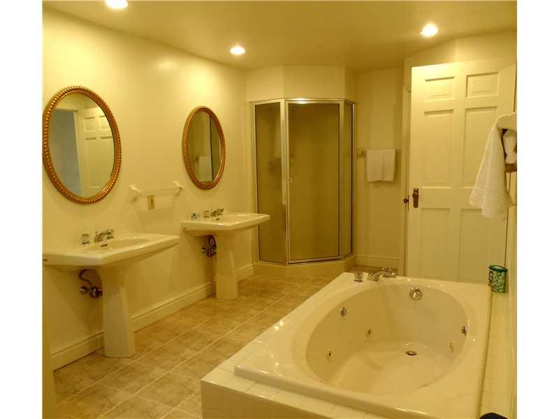 8 Midway Road Mt. Lebanon, PA 15216 - Photo 17 of 25 Master Bath/Spa.
