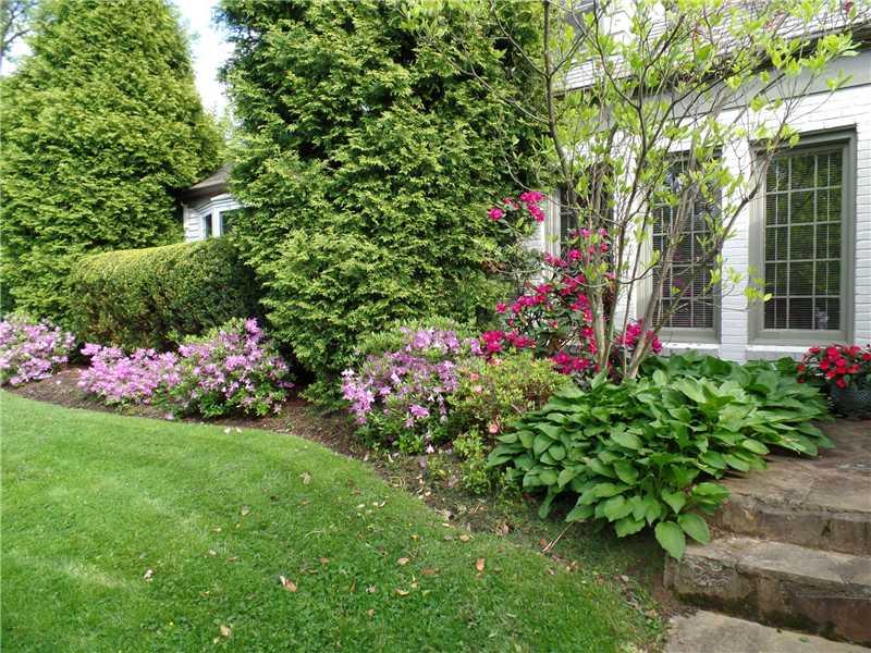 Yard/Garden. 