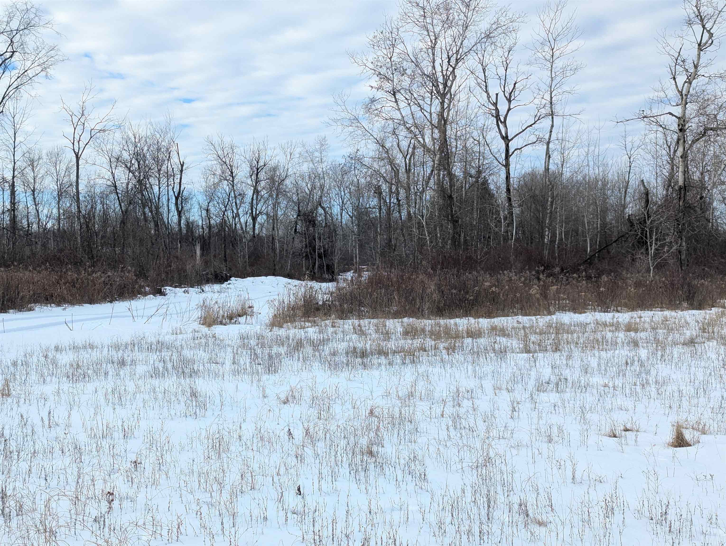N/a Swenson Road Au Gres, MI 48703 - Photo 12 of 15