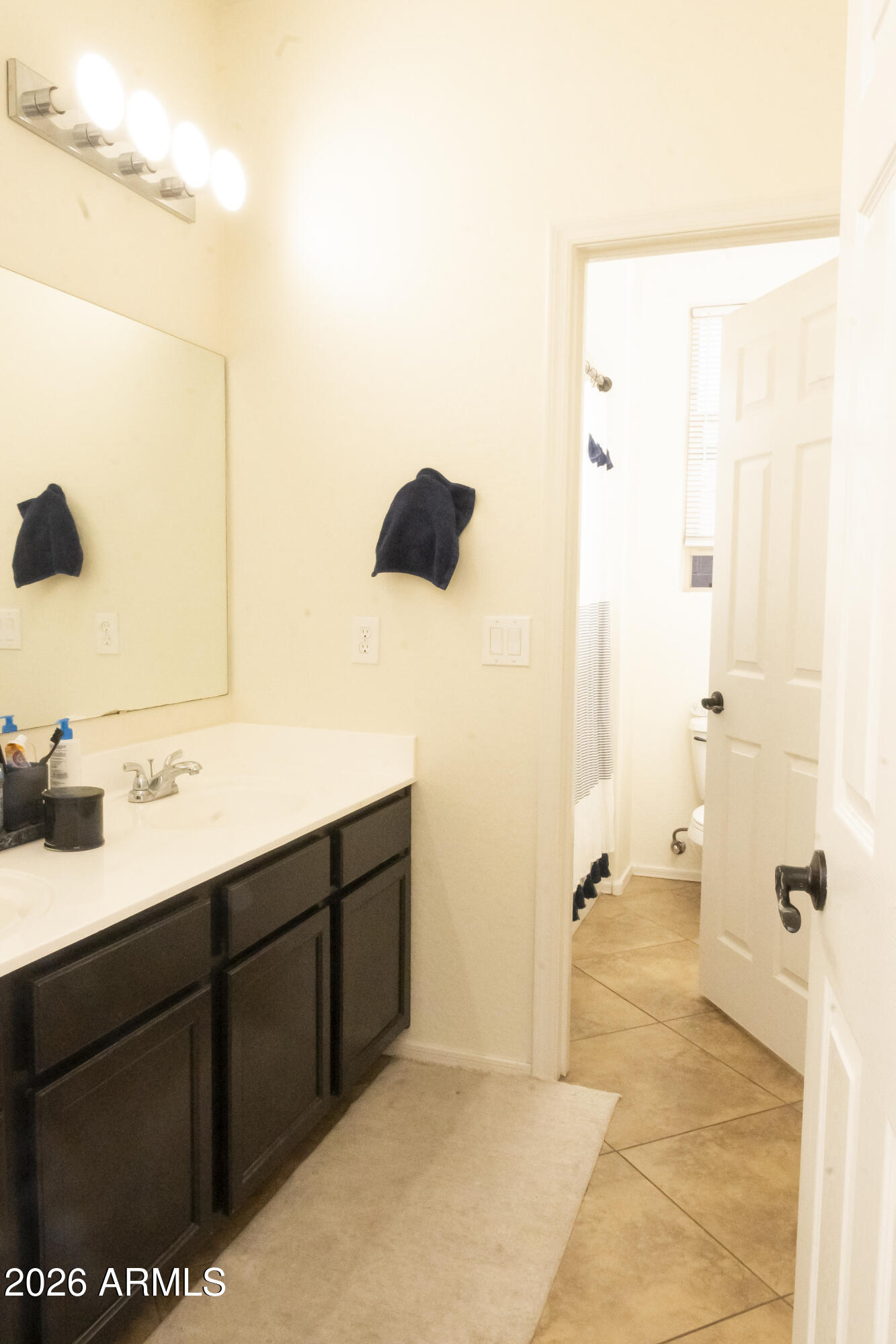 16045 West Almeria Road Goodyear, AZ 85395 - Photo 27 of 31 DSC_1167