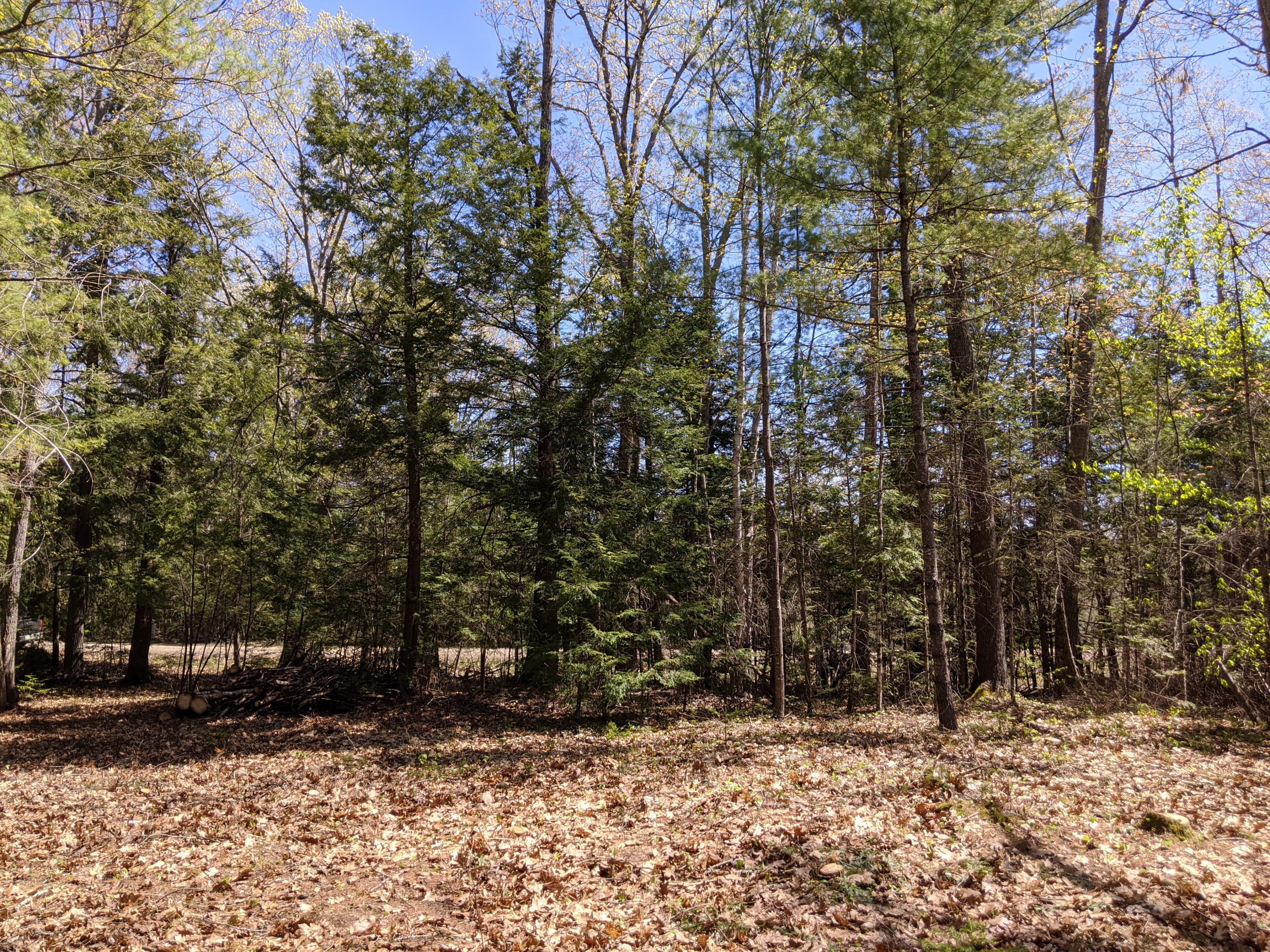 Lot A South Colby Road Somerville, ME 04348 - Photo 6 of 10 IMG_20200522_110752
