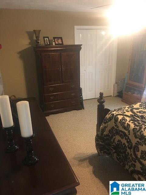 268 Royster Road Ashland, AL 36251 - Photo 13 of 22