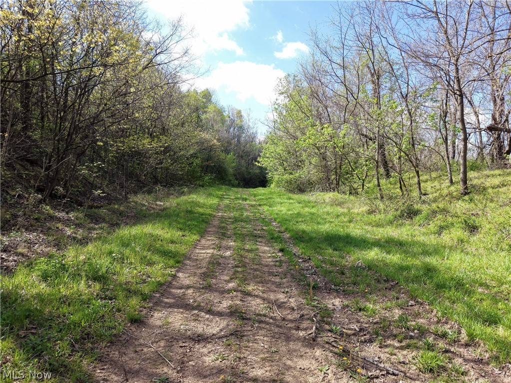 0 Harrons Ridge Road Dexter City, OH 45727 - Photo 18 of 29