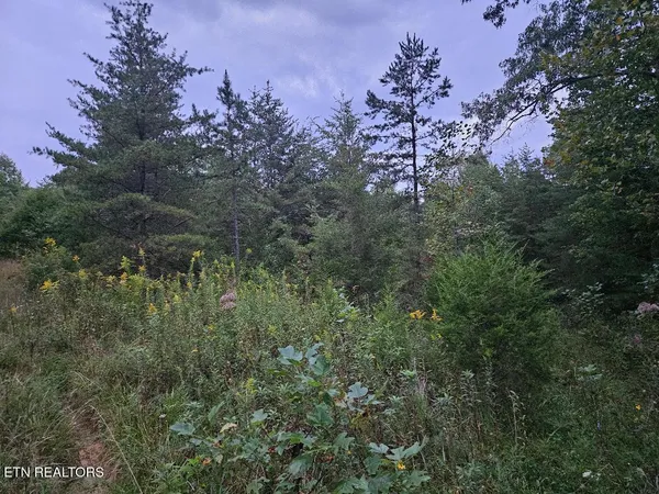 $429,900 | 0 Sandy Road, Wilder, TN 38589