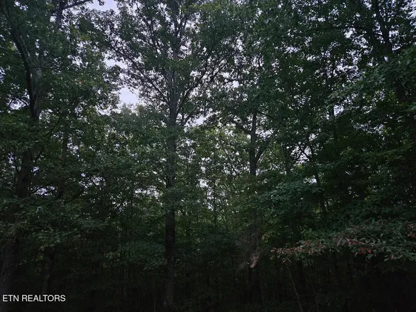 $429,900 | 0 Sandy Road, Wilder, TN 38589