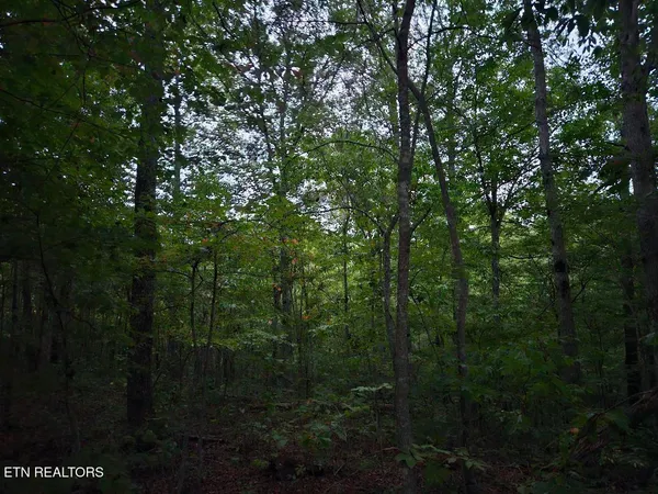 $429,900 | 0 Sandy Road, Wilder, TN 38589