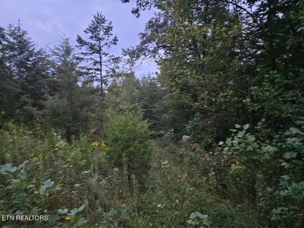 $429,900 | 0 Sandy Road, Wilder, TN 38589