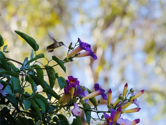 $2,498,000 | 18 Broadleaf, Irvine, CA 92612