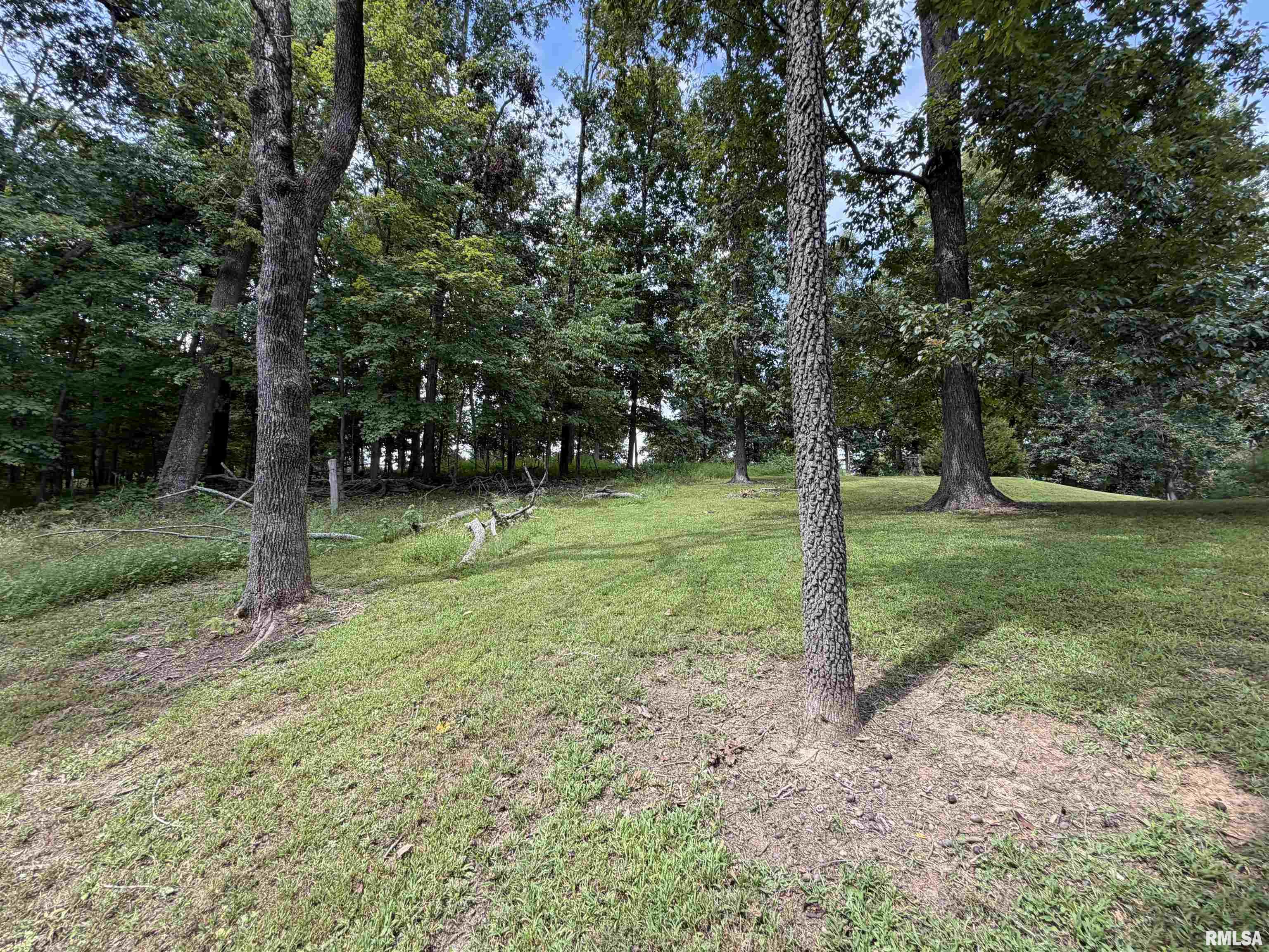 3545 Dogwalk Road Anna, IL 62906 - Photo 14 of 50 Gallery Image 14