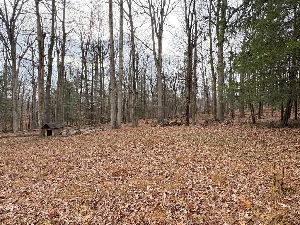 776 Highway 271 Ligonier, PA 15658 - Photo 26 of 29 a backyard of a house with lots of green space