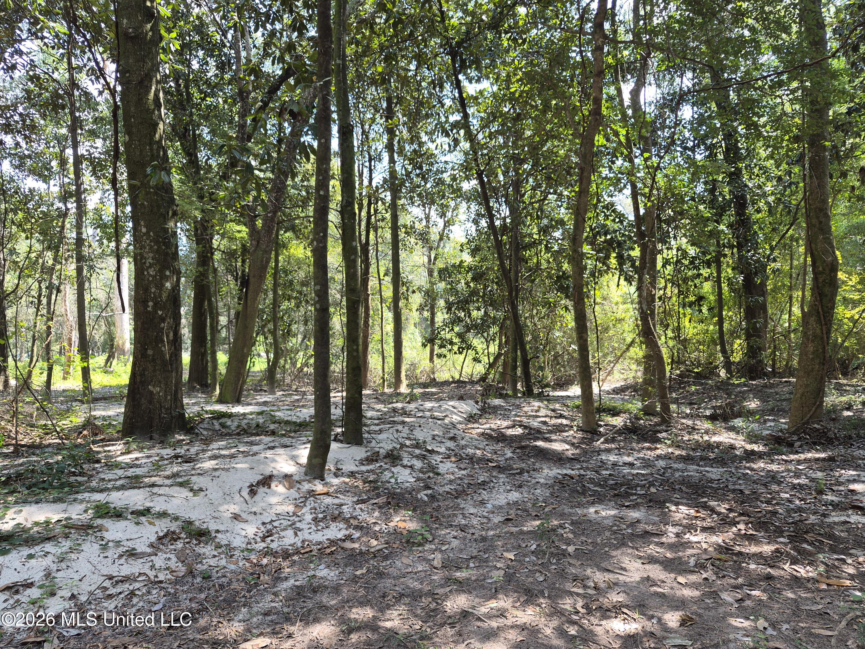 13756 River Road Gulfport, MS 39503 - Photo 78 of 93 Wooded West End