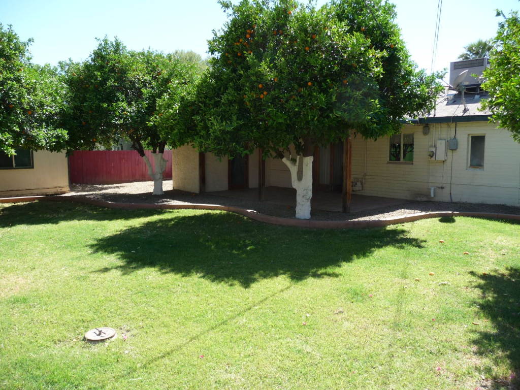 6741 North 11th Street Phoenix, AZ 85020 - Photo 13 of 16 BACKYARD