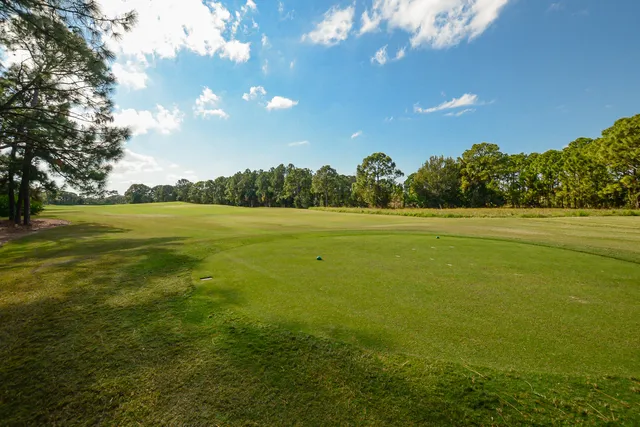 a view of a bench in the garden