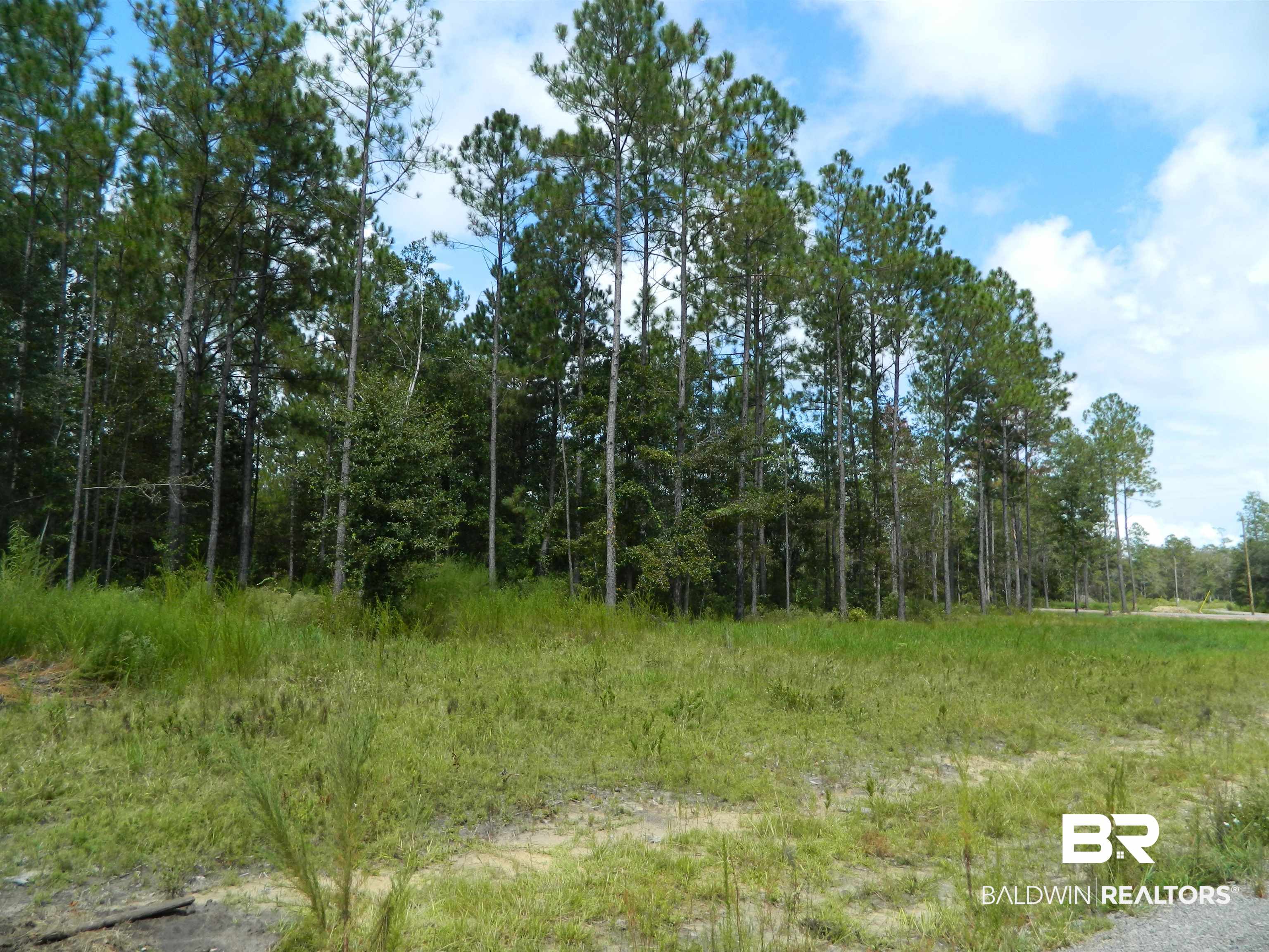 4 Foxtrap Road Axis, AL 36505 - Photo 4 of 9