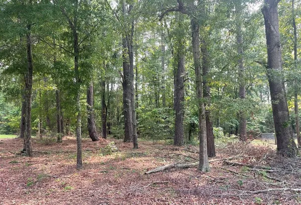 $31,500 | 0 Gin Pond Drive, Summerton, SC 29148