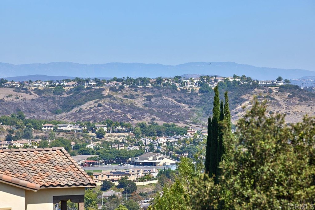 1949 Cobalt Drive Carlsbad, CA 92009 - Photo 19 of 44
