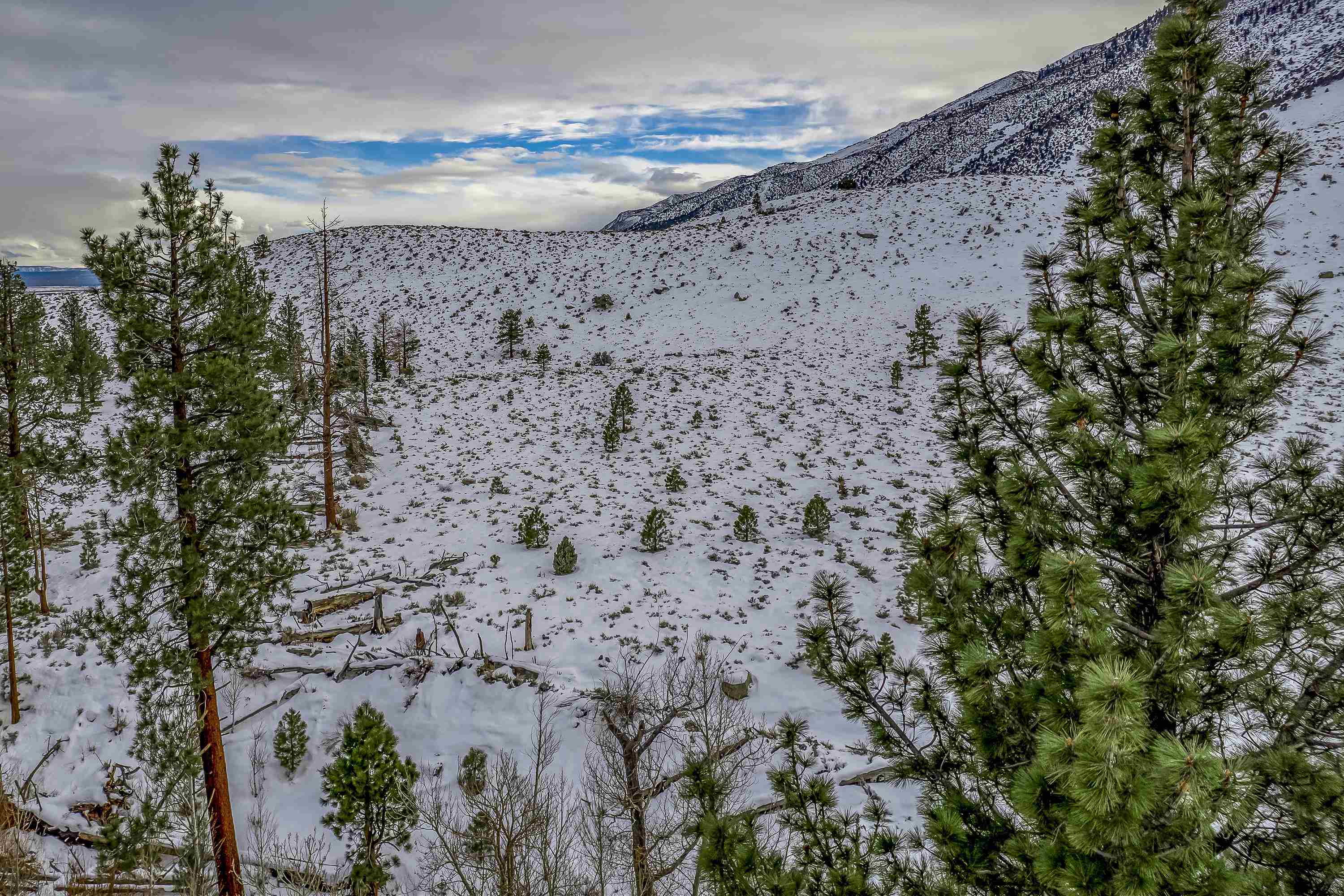 Lot #6 Lundy Lake Road Lee Vining, CA 93541 - Photo 13 of 20
