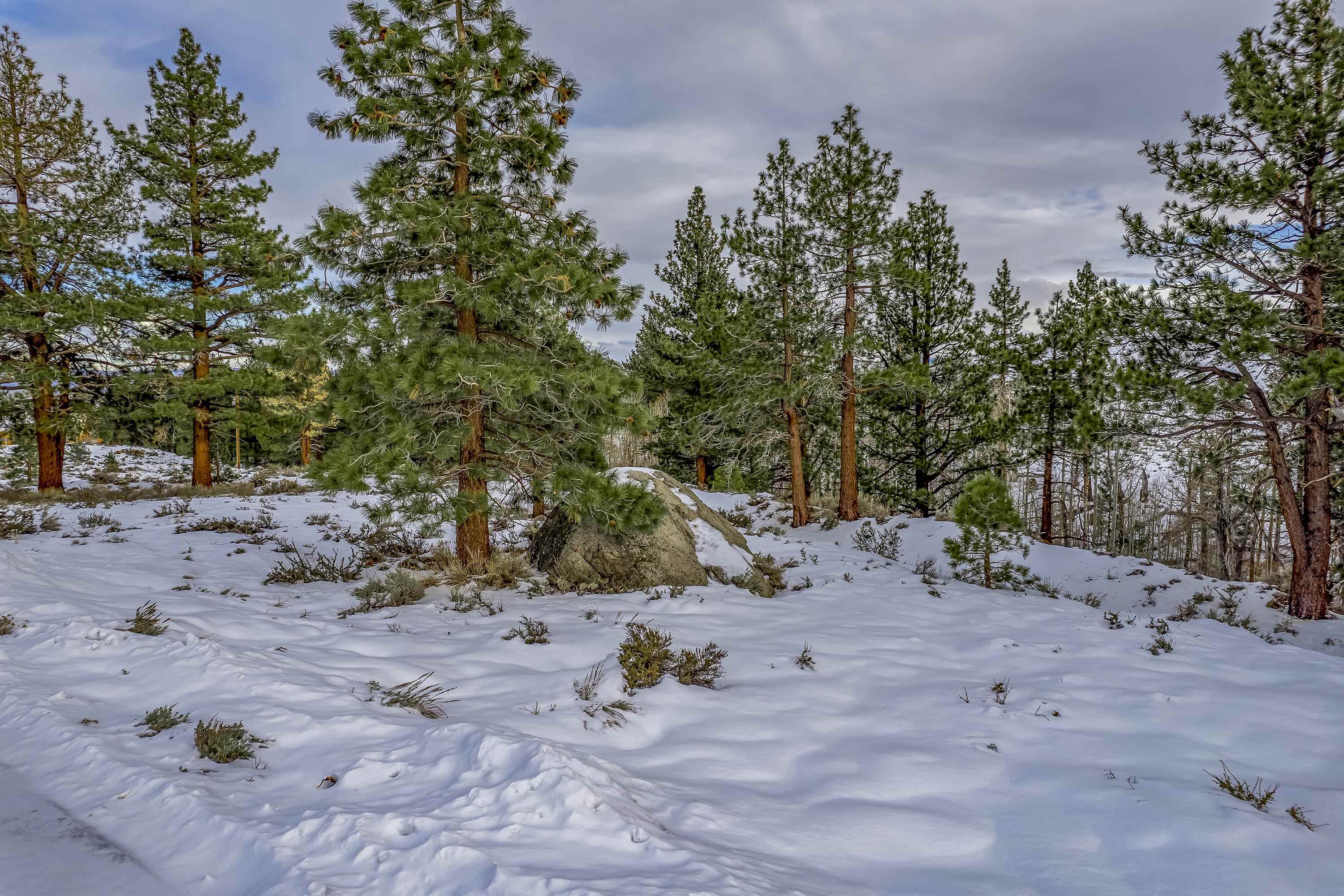Lot #6 Lundy Lake Road Lee Vining, CA 93541 - Photo 14 of 20