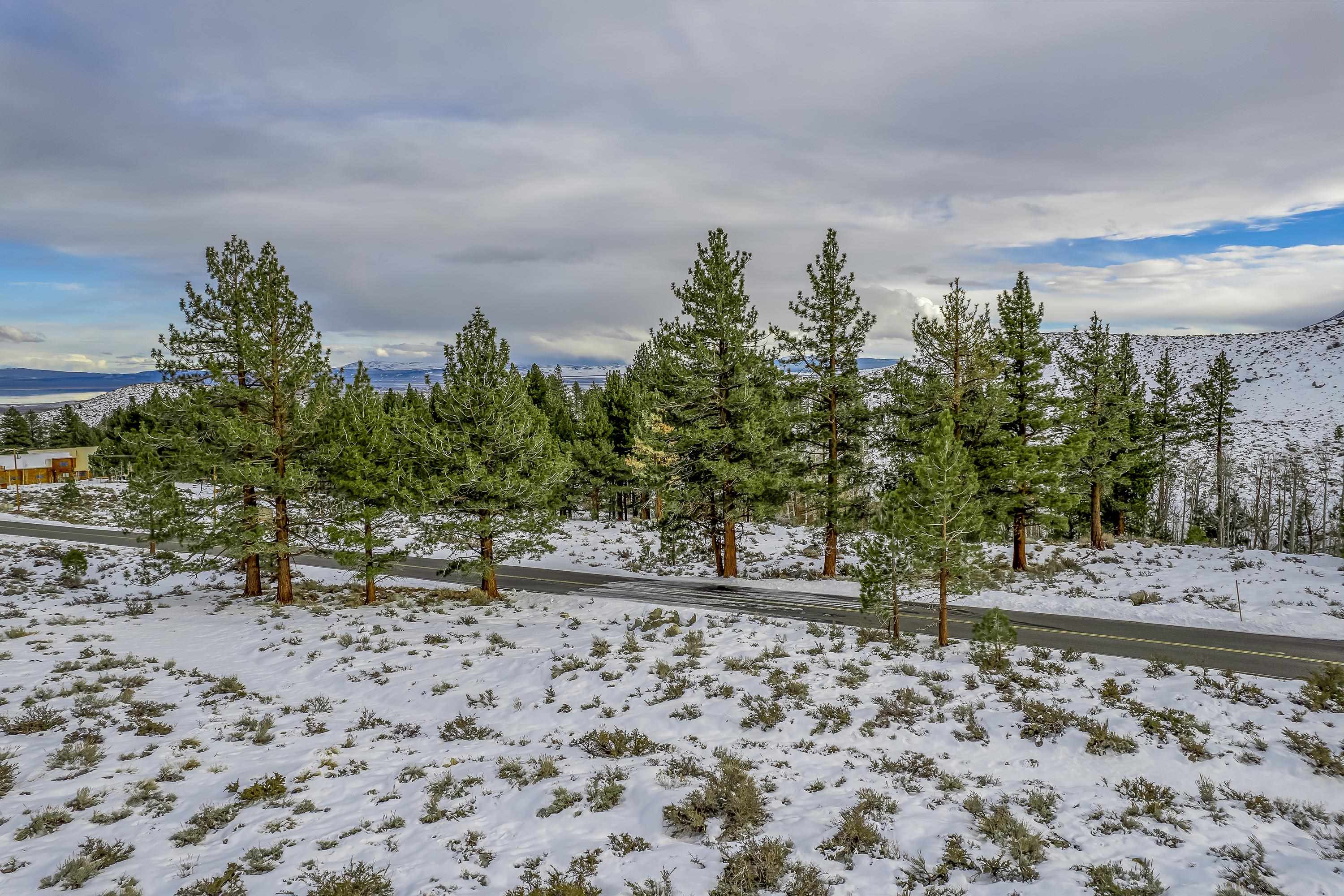 Lot #6 Lundy Lake Road Lee Vining, CA 93541 - Photo 15 of 20