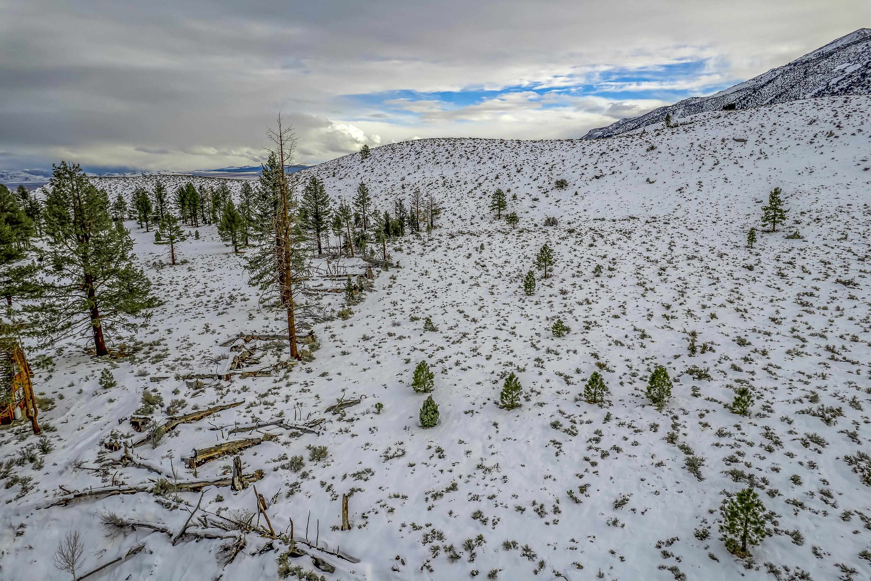 Lot #6 Lundy Lake Road Lee Vining, CA 93541 - Photo 16 of 20