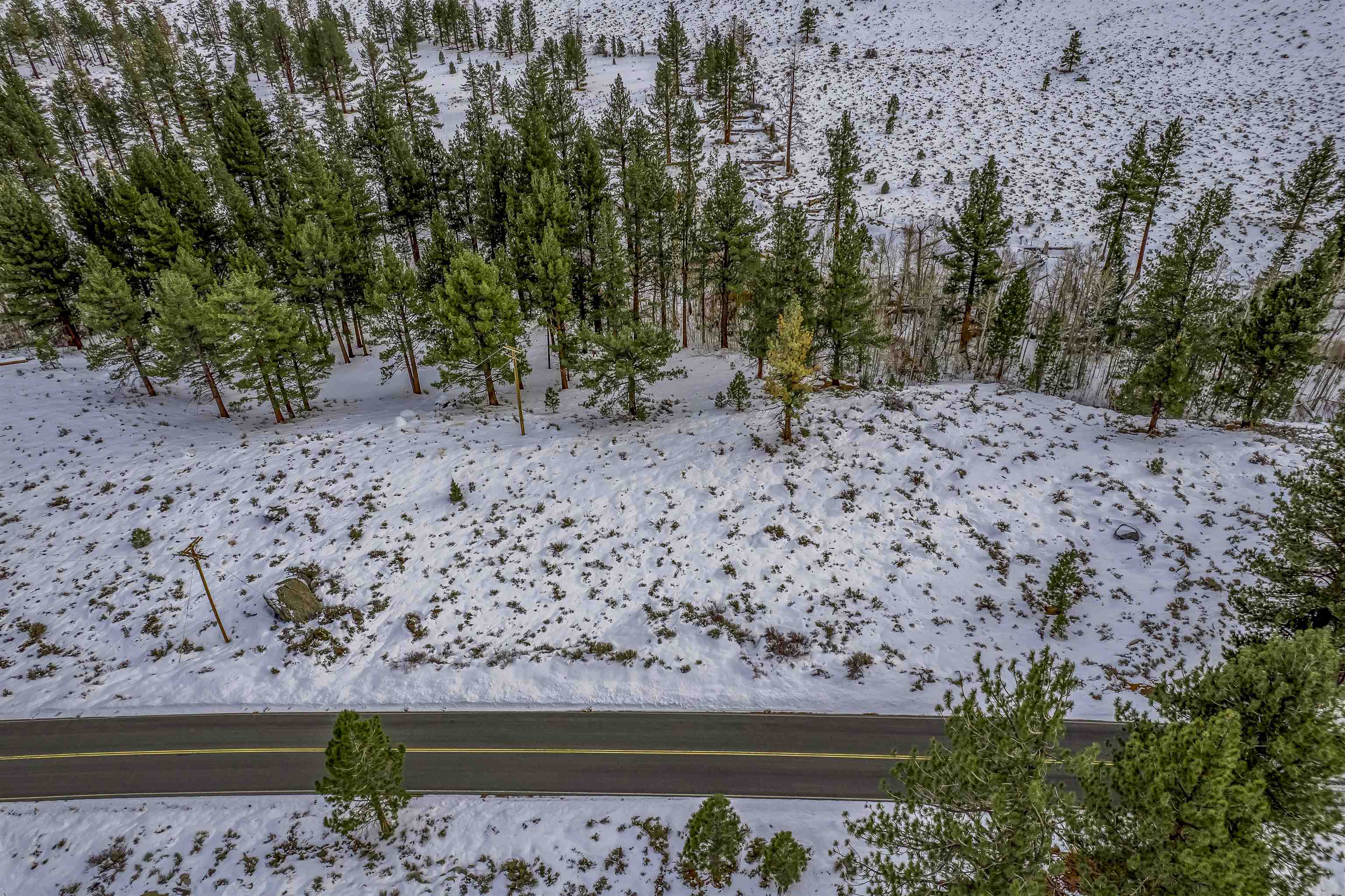 Lot #6 Lundy Lake Road Lee Vining, CA 93541 - Photo 2 of 20