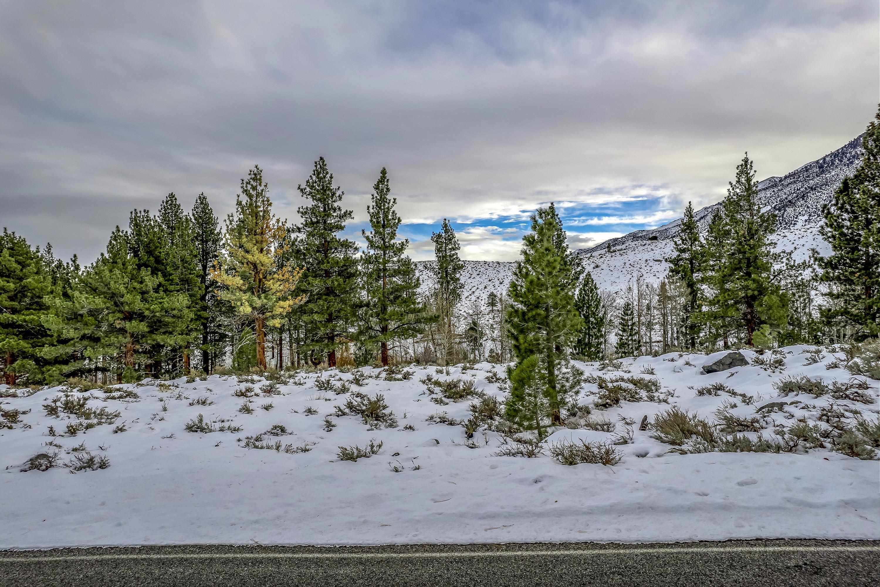 Lot #6 Lundy Lake Road Lee Vining, CA 93541 - Photo 3 of 20