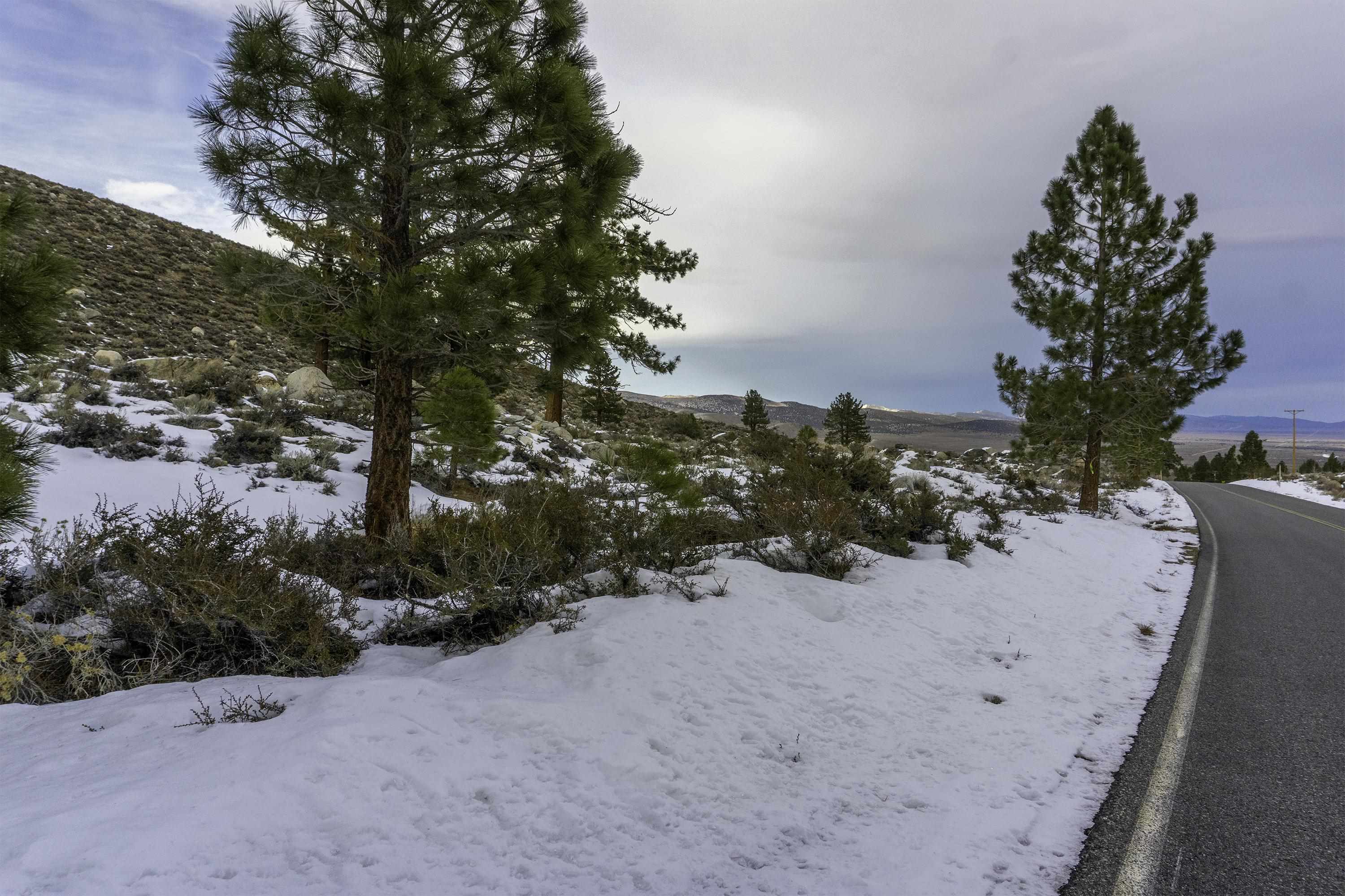Lot #6 Lundy Lake Road Lee Vining, CA 93541 - Photo 4 of 20