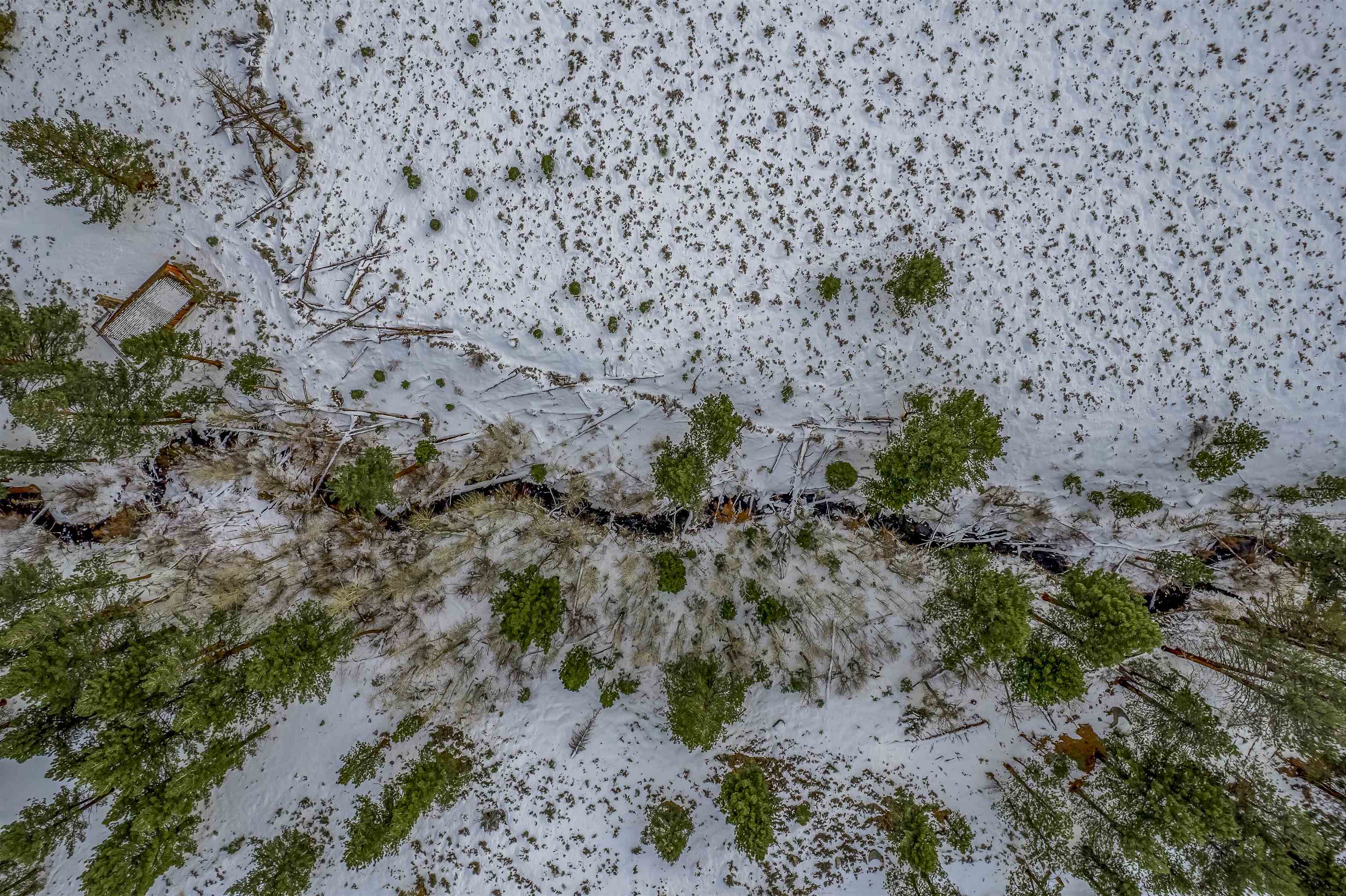 Lot #6 Lundy Lake Road Lee Vining, CA 93541 - Photo 5 of 20