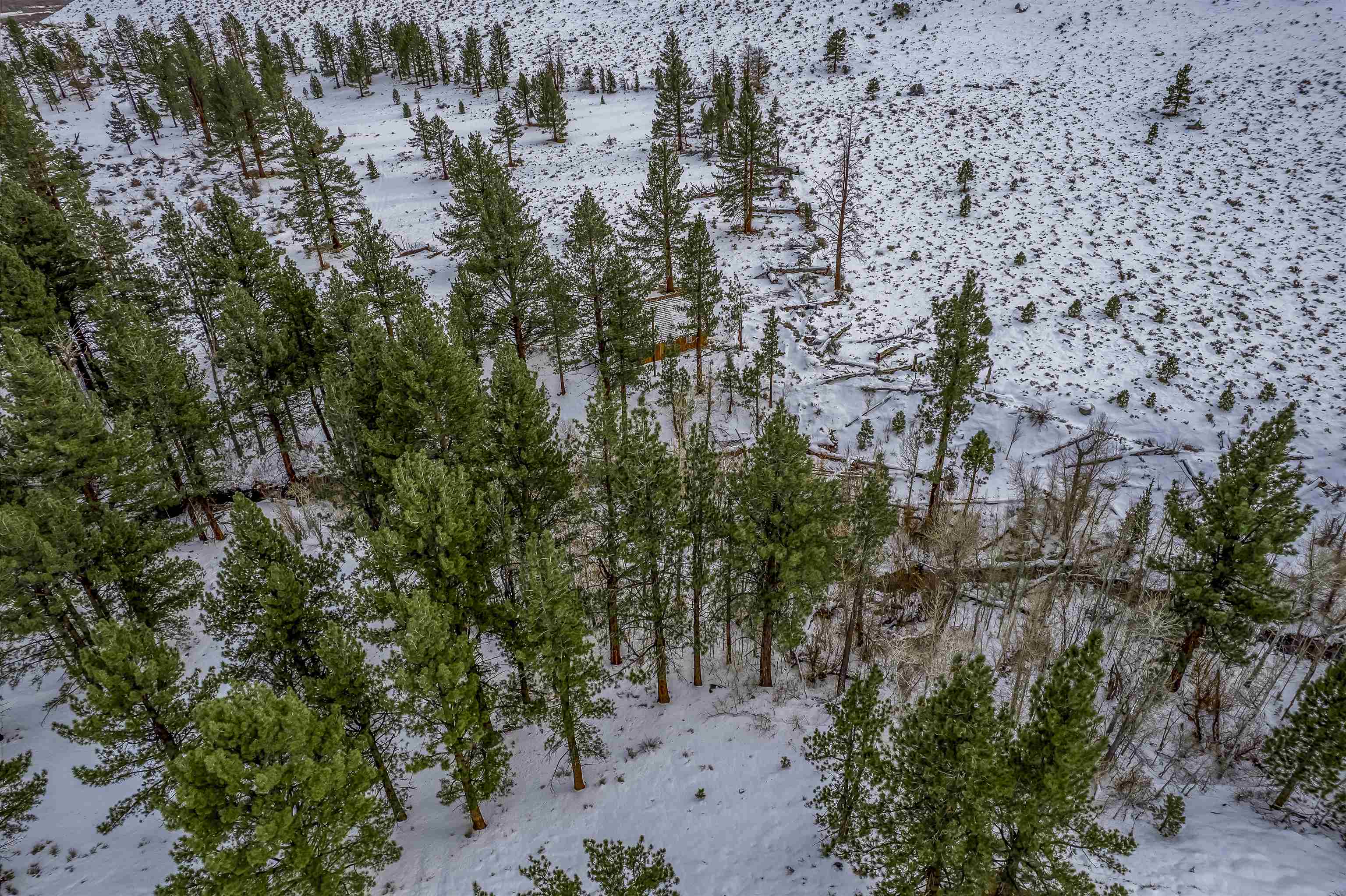 Lot #6 Lundy Lake Road Lee Vining, CA 93541 - Photo 7 of 20