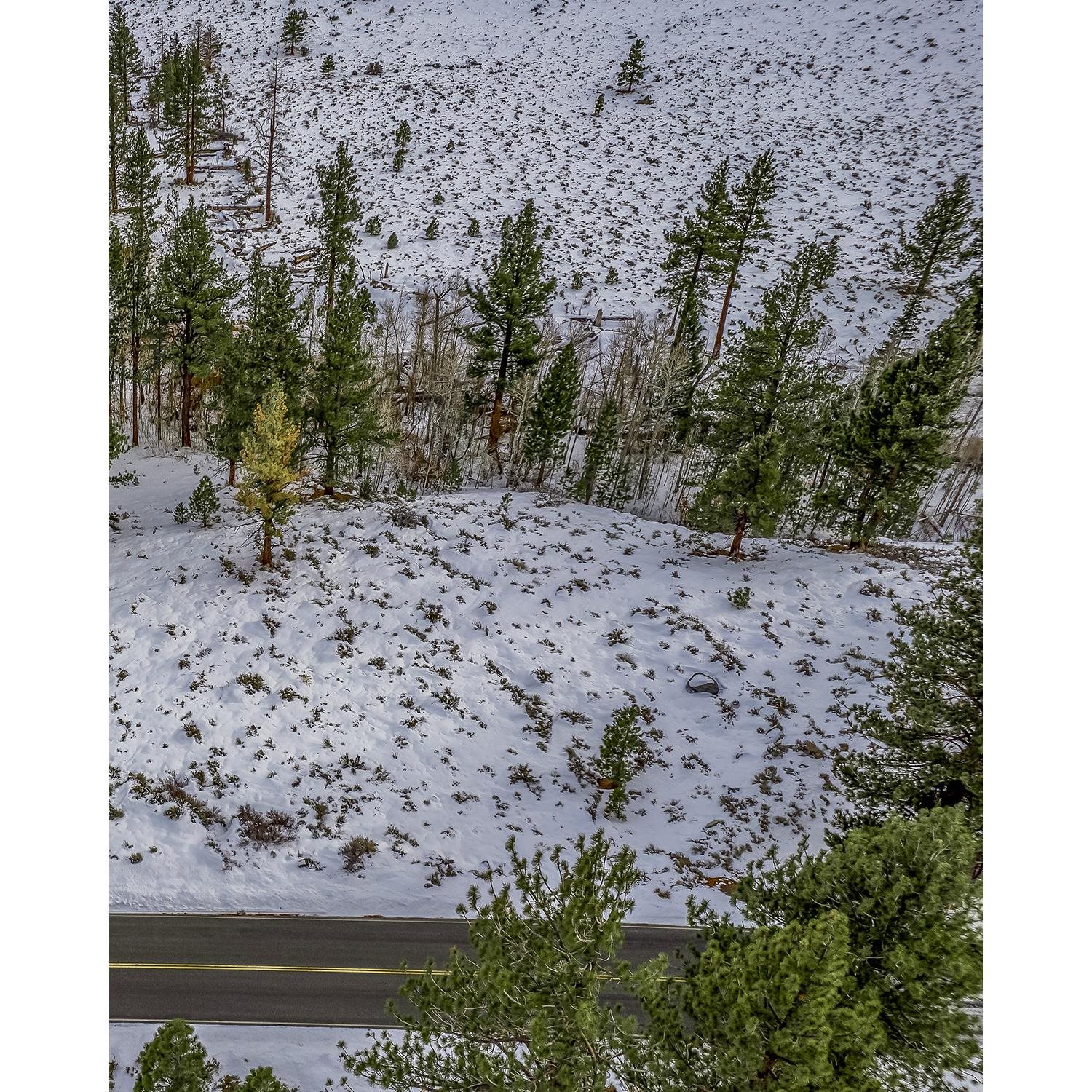 Lot #6 Lundy Lake Road Lee Vining, CA 93541 - Photo 10 of 20