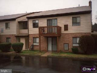 280 Bridgewater Road, Unit D14 Brookhaven, PA 19015 - Photo 1 of 1 Gallery Image 1