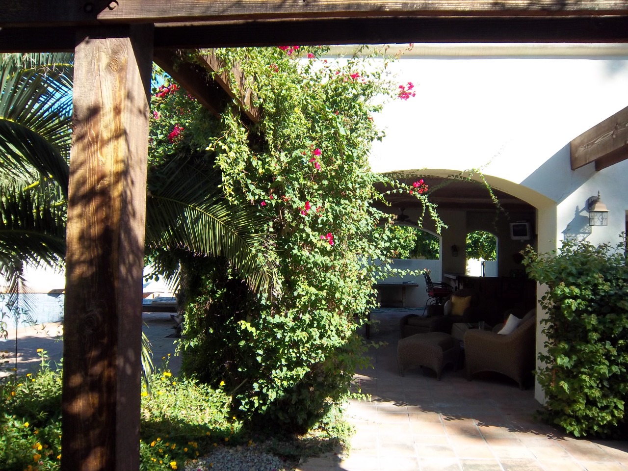 2015 East Ranch Road Tempe, AZ 85284 - Photo 45 of 50 backyard