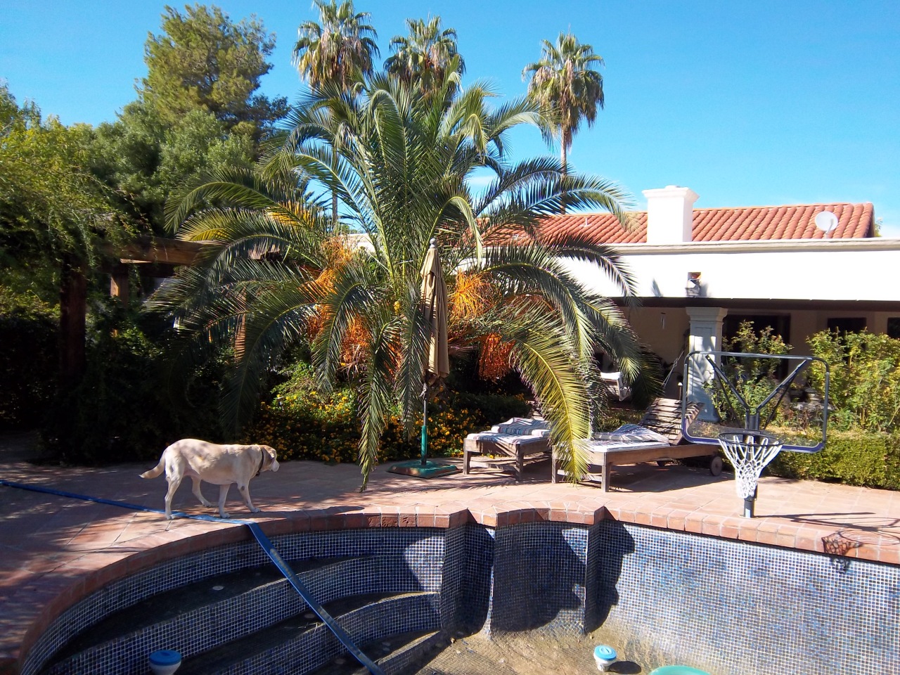 2015 East Ranch Road Tempe, AZ 85284 - Photo 49 of 50 pool