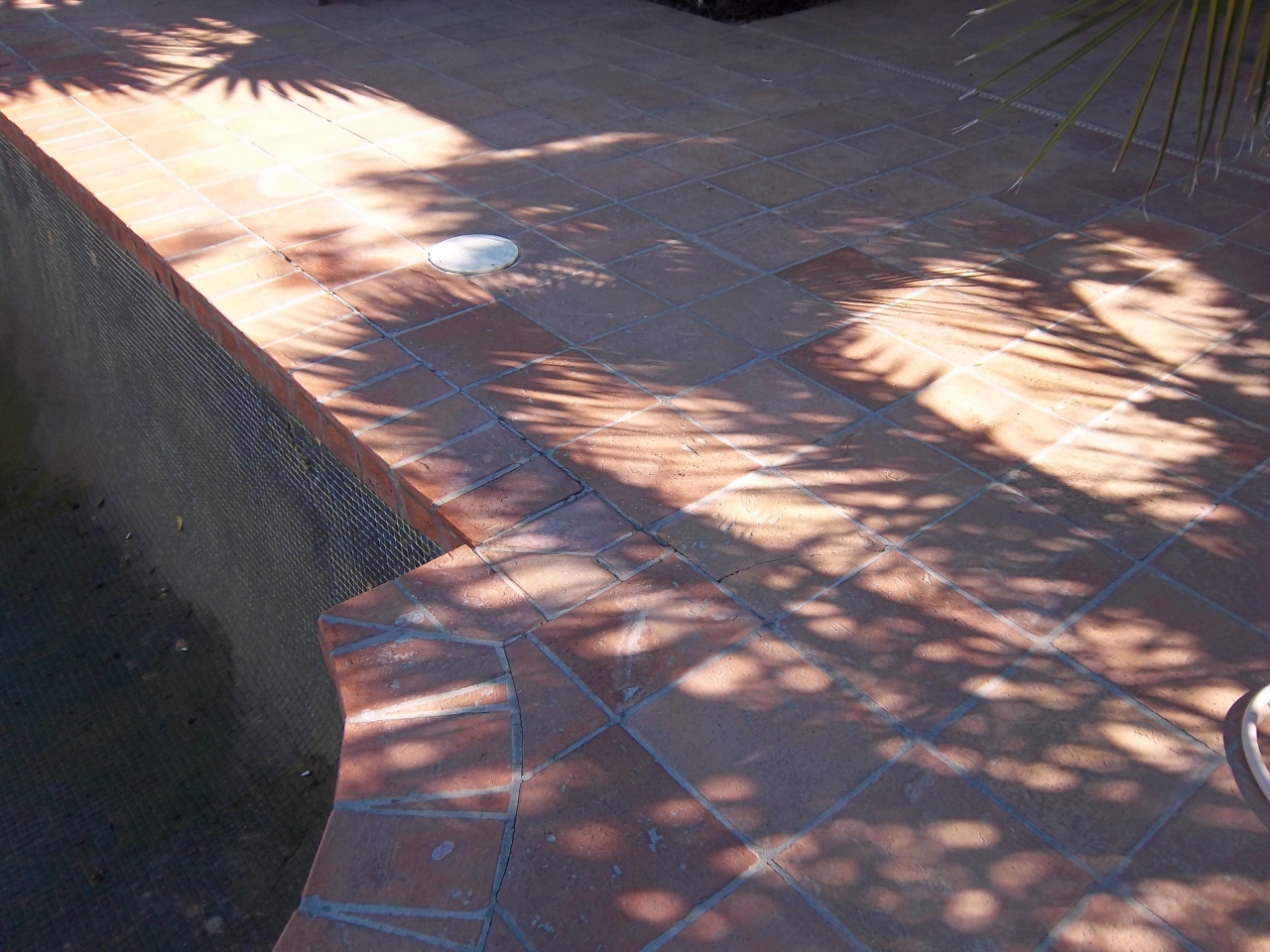 2015 East Ranch Road Tempe, AZ 85284 - Photo 50 of 50 pool deck
