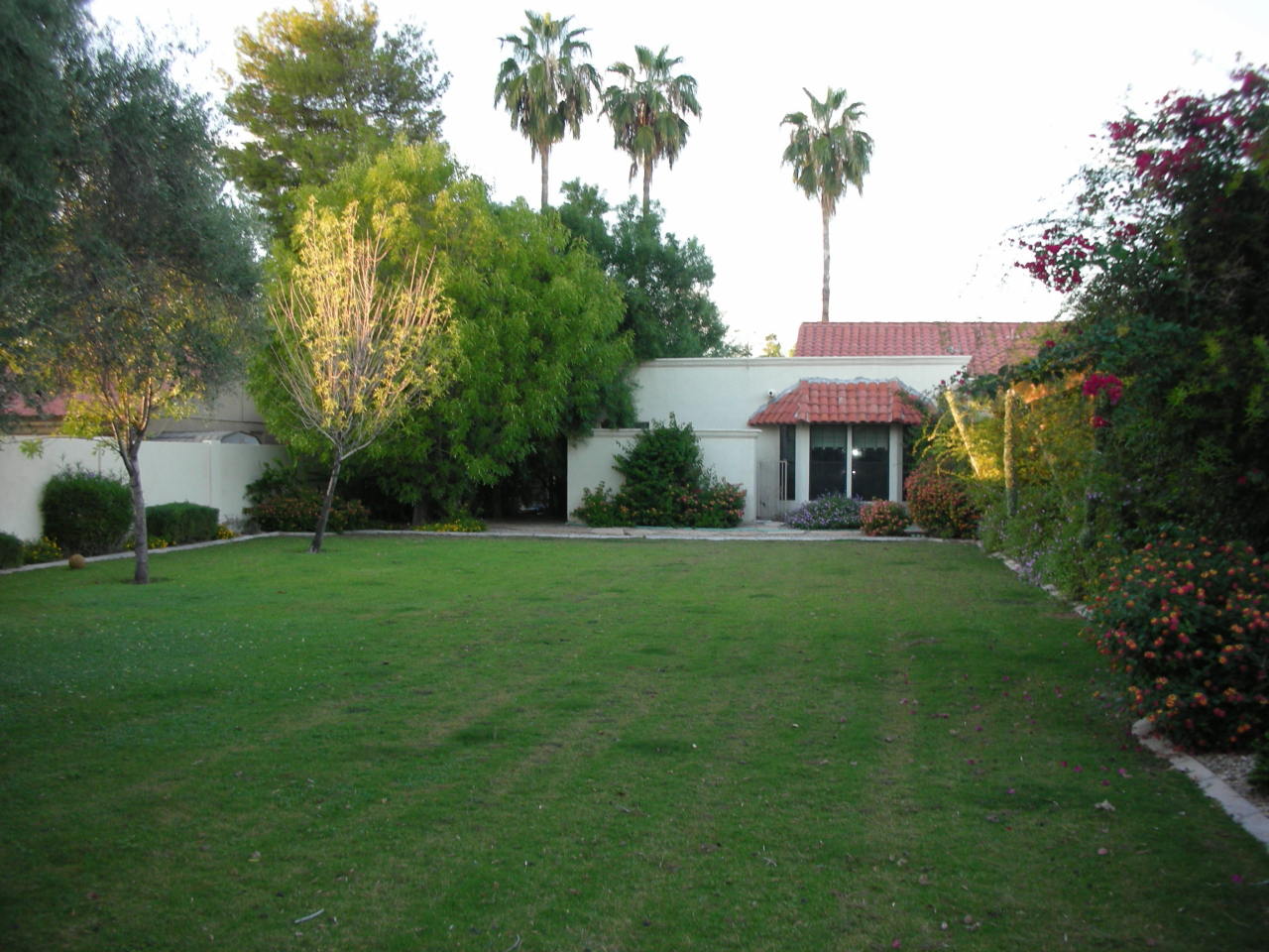2015 East Ranch Road Tempe, AZ 85284 - Photo 6 of 50 backyard