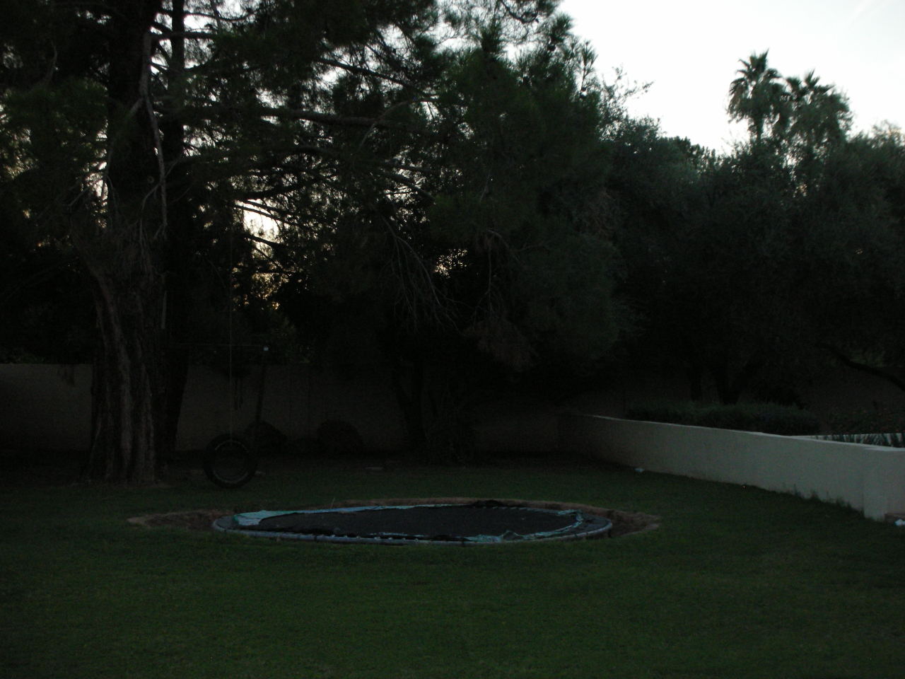 2015 East Ranch Road Tempe, AZ 85284 - Photo 8 of 50 backyard