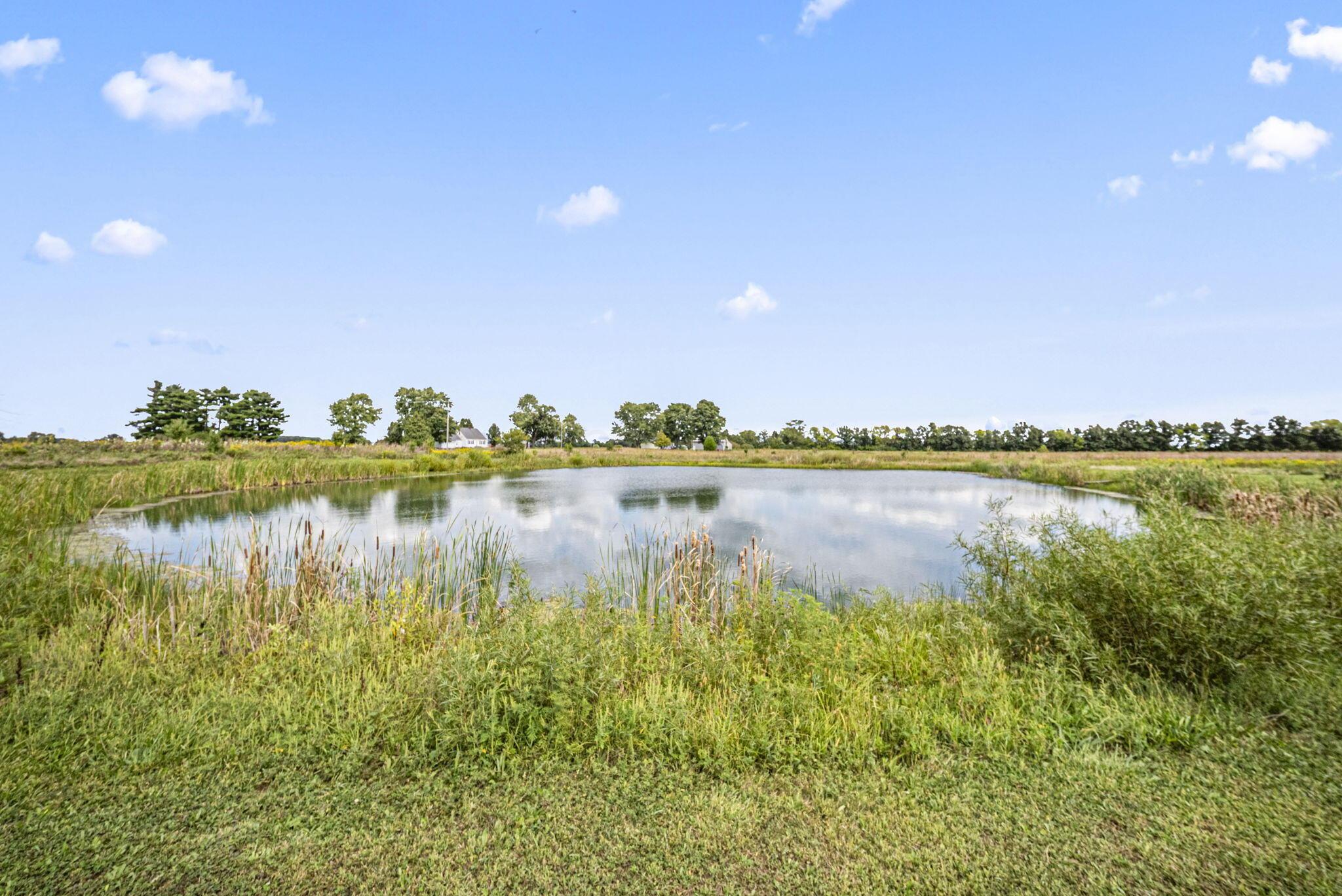 0 Likens Road Marion, OH 43302 - Photo 26 of 88 24-web-or-mls-DSC06966