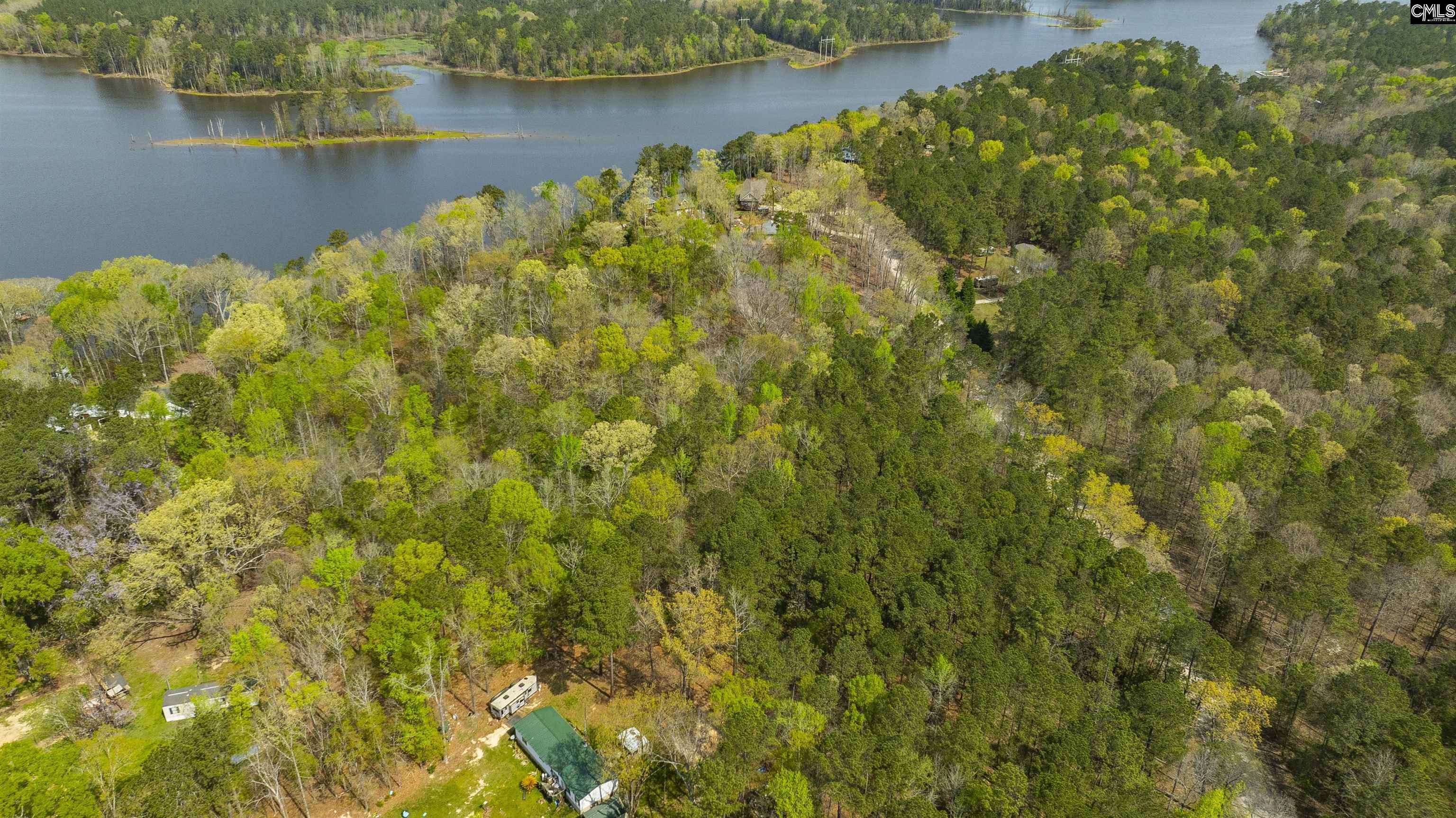 161 Saluda Bluff Road Batesburg, SC 29006 - Photo 3 of 62