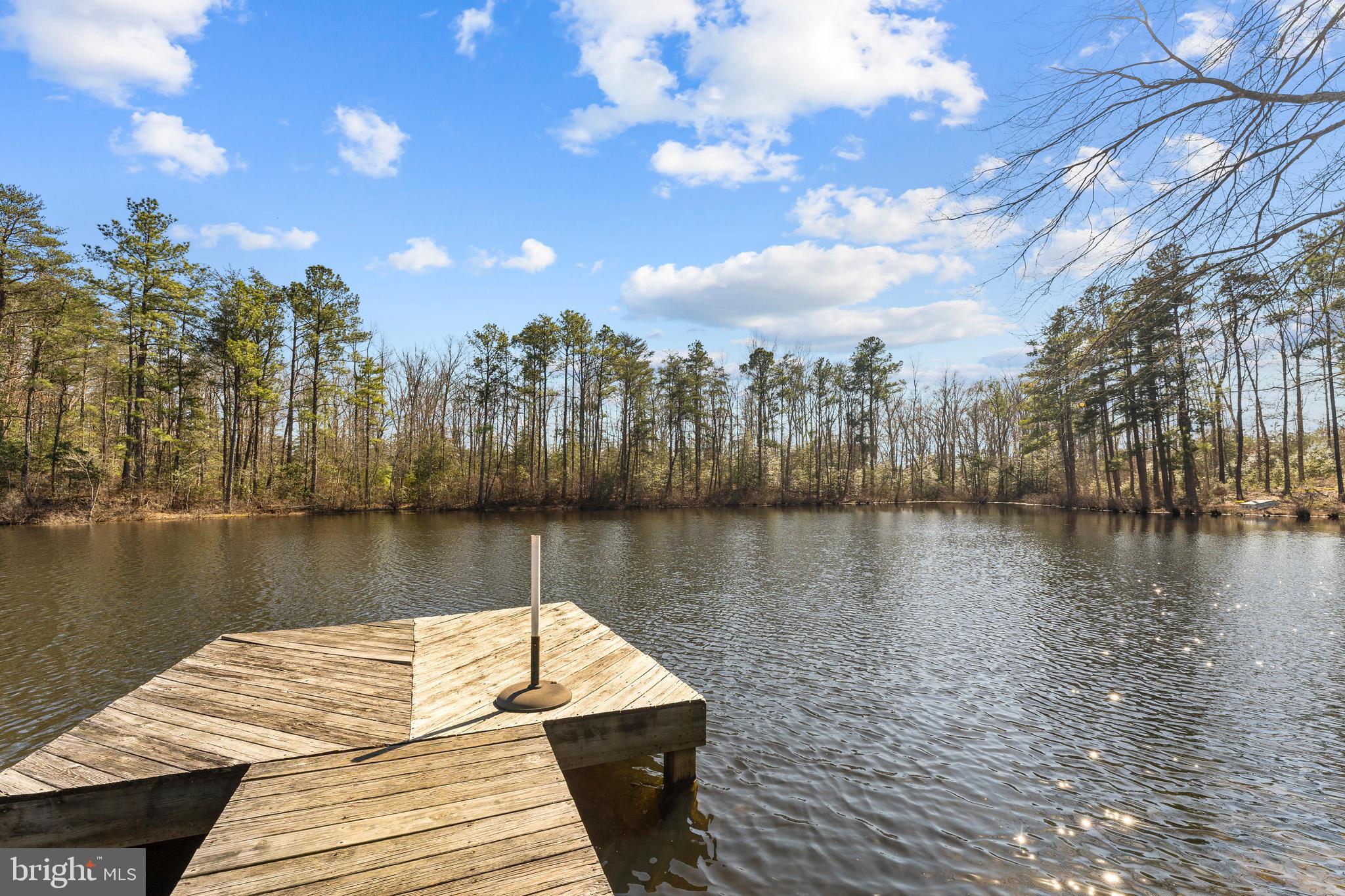 15765 Concord Road Ruther Glen, VA 22546 - Photo 7 of 51 Gallery Image 7
