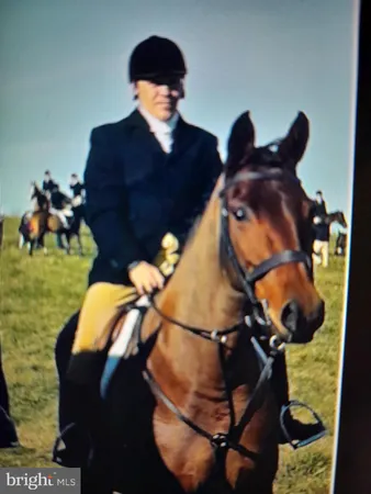 a vase of flowers sitting on a table