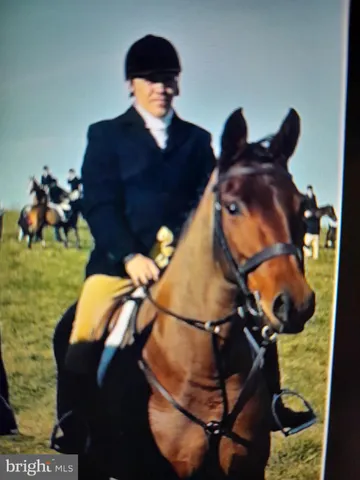 a vase of flowers sitting on a table