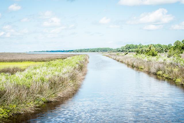694 Indian Pass Road Port St. Joe, FL 32456 - Photo 6 of 13
