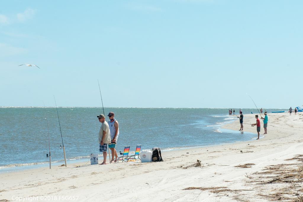 694 Indian Pass Road Port St. Joe, FL 32456 - Photo 8 of 13