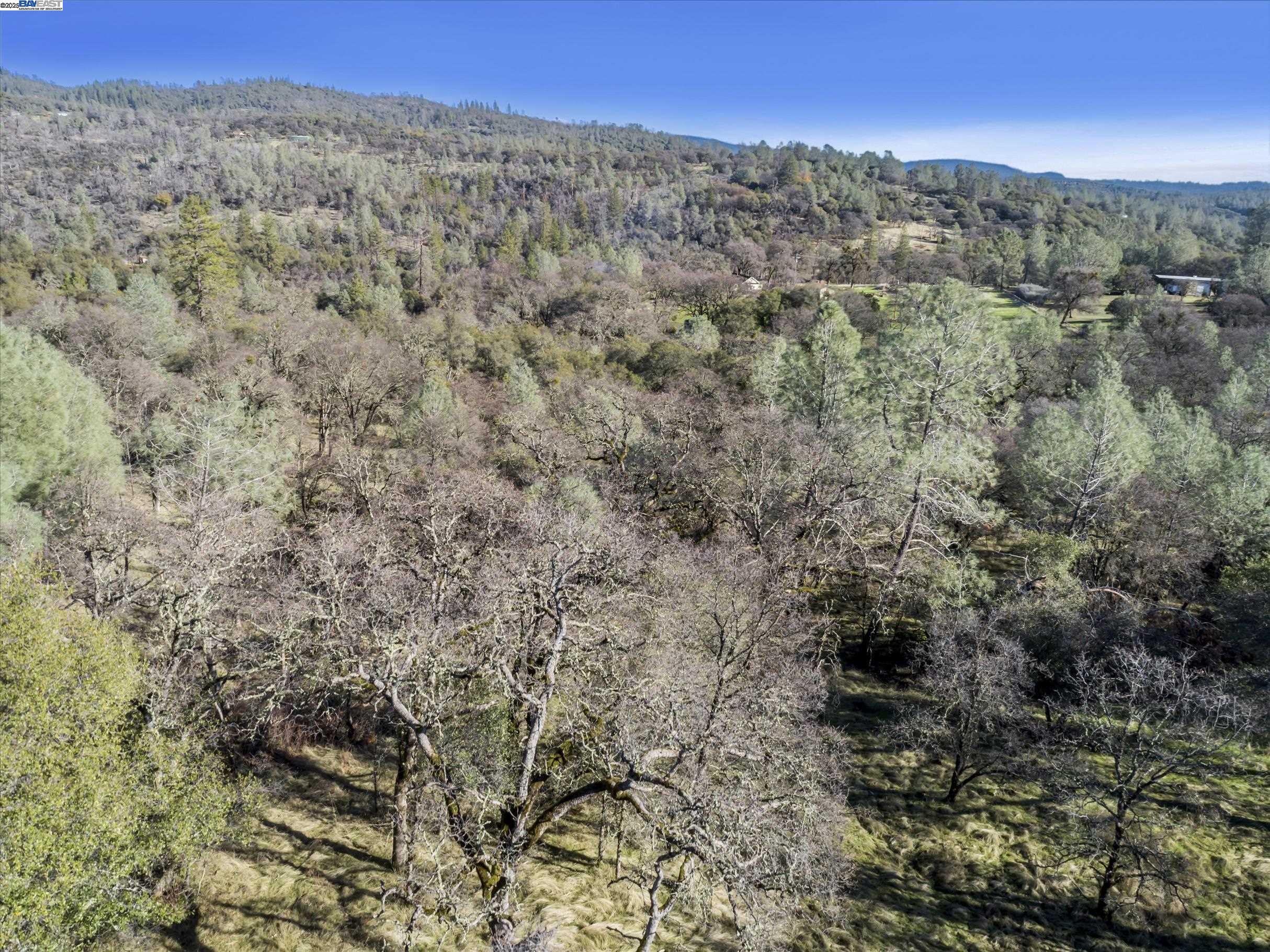14011 Neptune Road Rackerby, CA 95972 - Photo 3 of 8 a view of a dry field with trees in the background