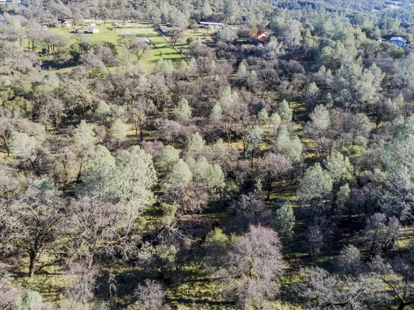 a view of a yard with a plants