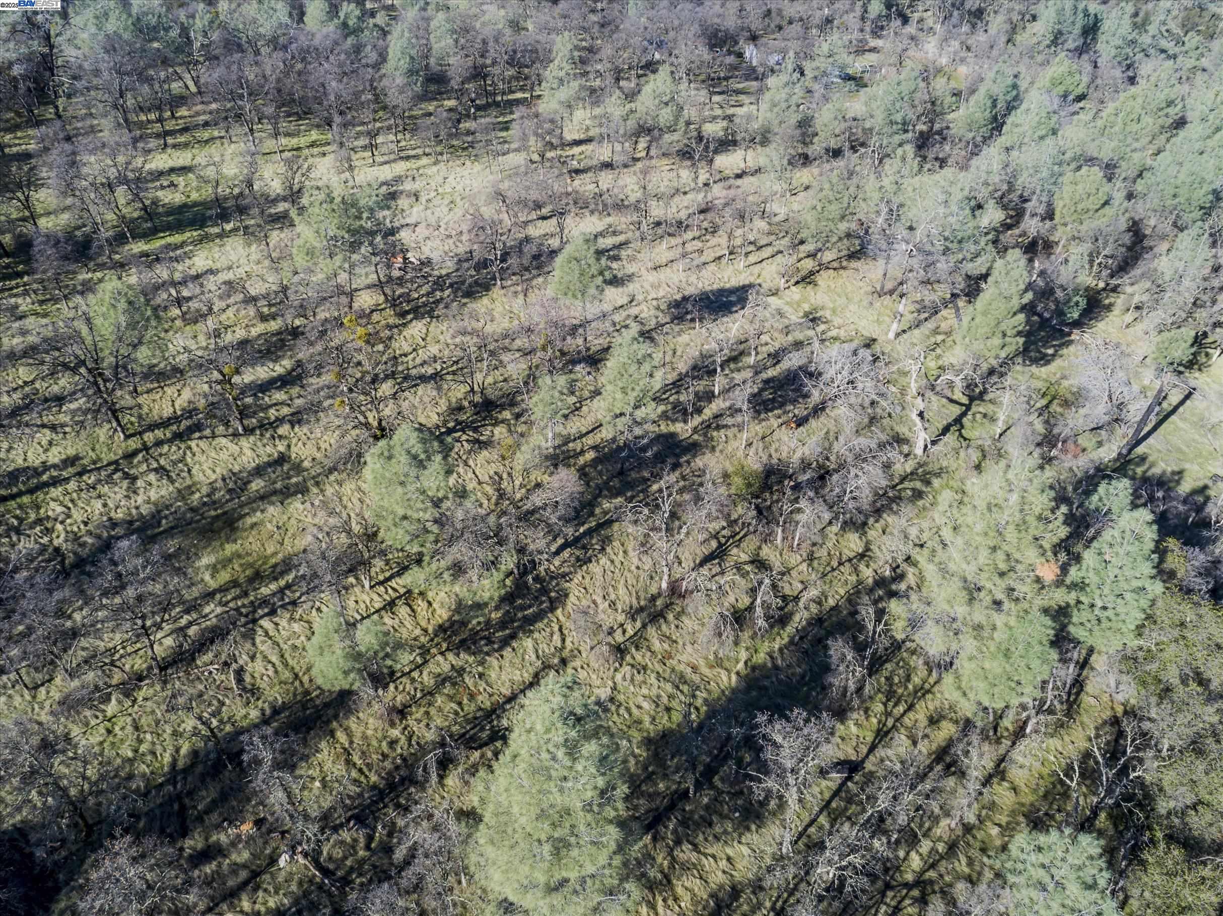 14011 Neptune Road Rackerby, CA 95972 - Photo 5 of 8 a view of a lake with a mountain
